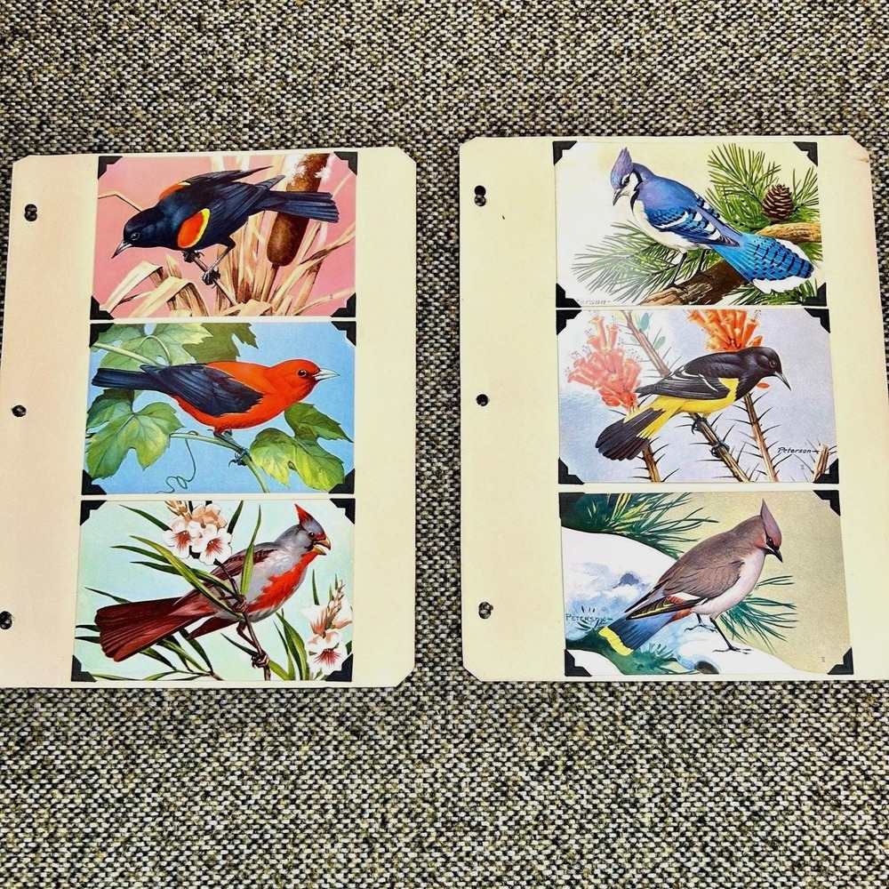 Roger Tory Peterson Vintage Songbird Art Cards‎ 6pc Set Blue Jay Cardinal